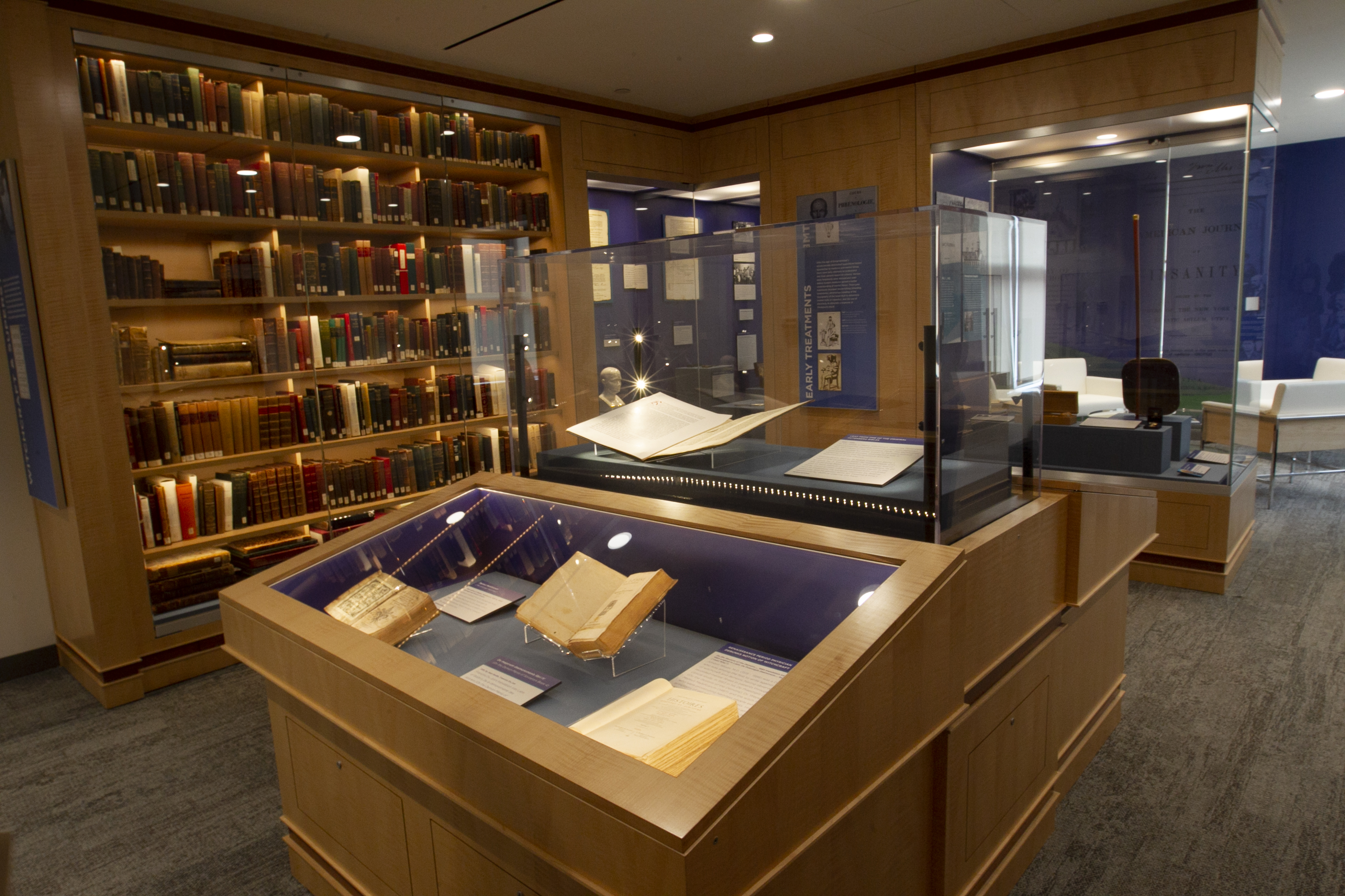 A view inside the Melvin B. Sabshin Library and Archives at 800 Maine Ave, S.W.